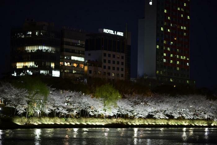 Lake Tourist Hotel Seoul Exterior photo